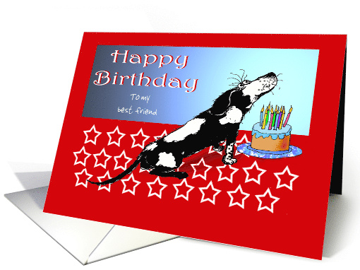 Happy birthday, black and white dog, cake,candles.custom text card