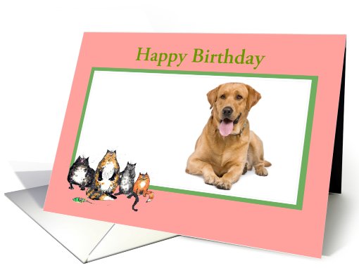 Happy Birthday, pink frame, custom frame, cats, for pet card (853021)