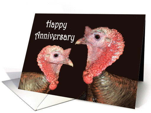 Happy Anniversary,Gay, two turkey gobblers. humor. card (877620)