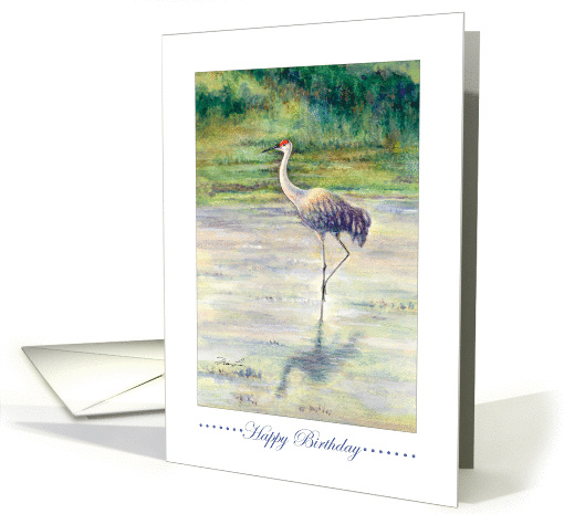 Happy Birthday-Sandhill Crane card (957071)