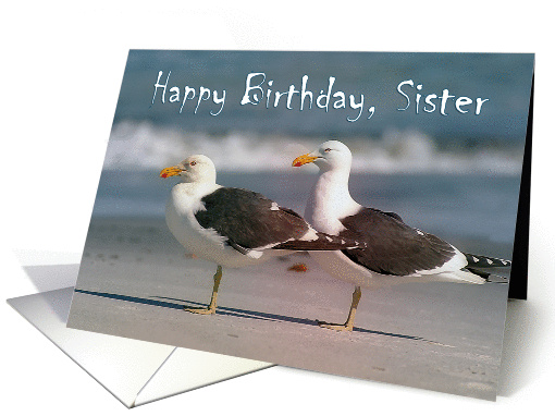 Happy Birthday, Sister, Two gulls card (1360914)