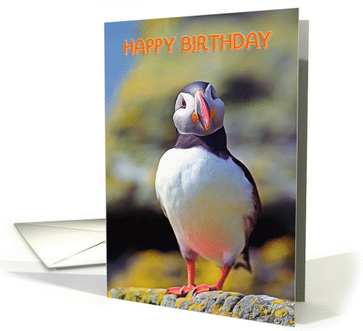 Happy birthday , Portrait funny puffin card (1364272)