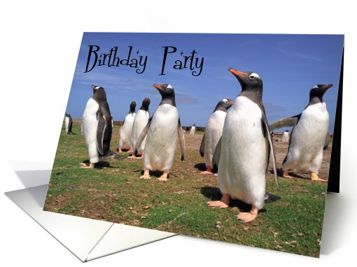 Bithday party, Penguins looking up card (615040)