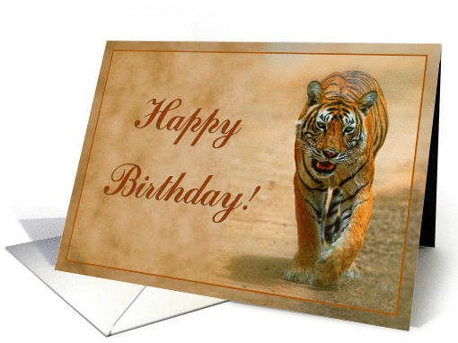 Happy Birthday card, Tiger card (876615)