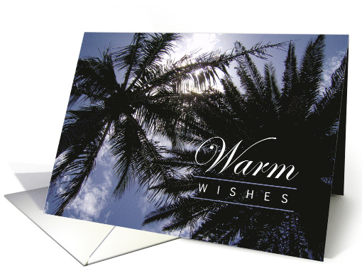 Warm Wishes - Birthday - Palm Trees on a Sunny Day card (719608)