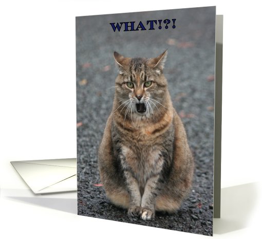 Birthday, What!?! Who said that! Cat card (631725)