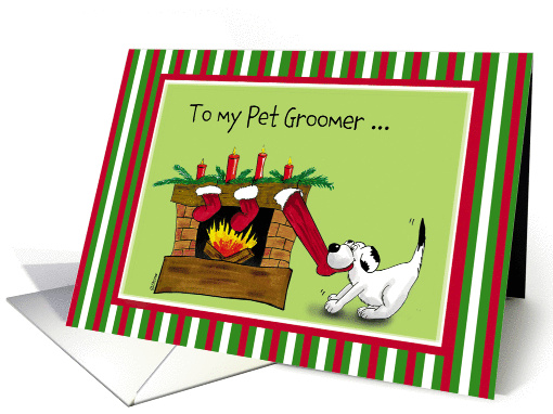 My pet groomer discount