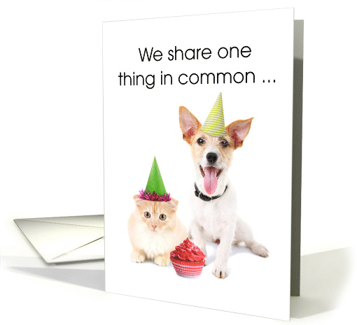 Dog and Cat, Funny, Shared Birthday card (1595504)