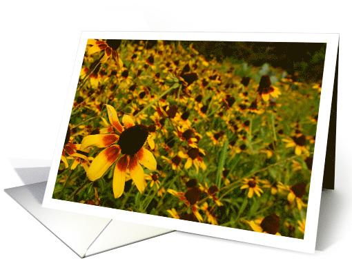 Happy Birthday Spring Flowers card (772782)