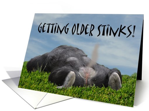 Funny Humorous Getting Older Monkey Happy Birthday card (727078)