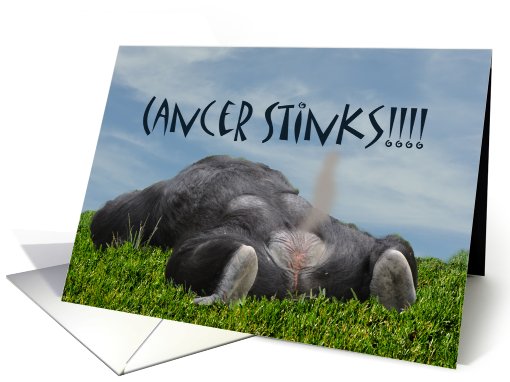 Cancer Illness Stinks Smells Monkey Butt Ass Humorous Gas Fart card