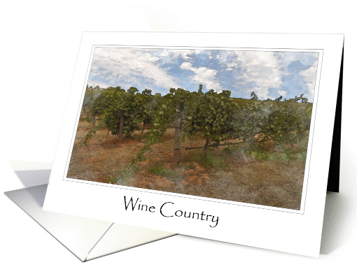 Wine Country Vineyard Growing Grapes for Wine card (858254)