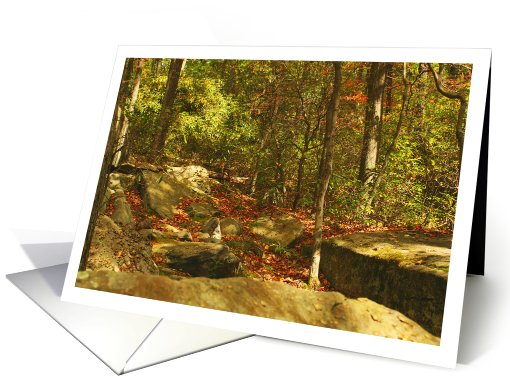 Happy Birthday Forest Mountain Laurel And Rocks Early Fall Season card