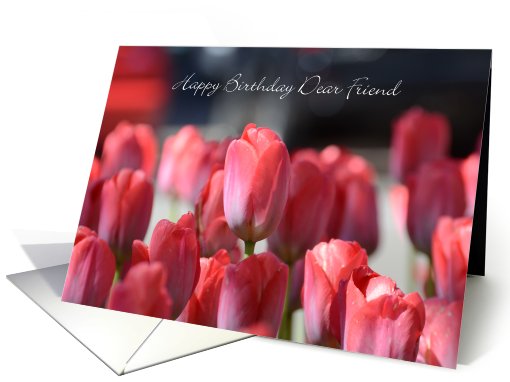 Happy Birthday Dear Friend, Red Tulips card (814819)