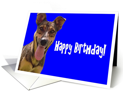 Happy Birthday Happy Dog card (837386)