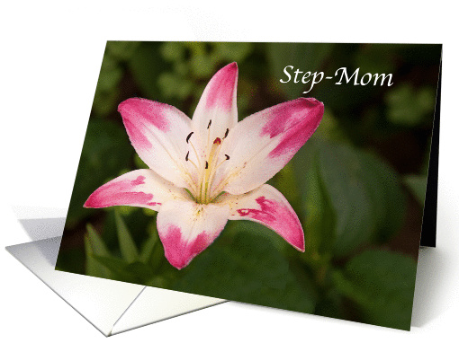 Happy Birthday Step Mom, Lolly Pop Lily, Pink and Off White card