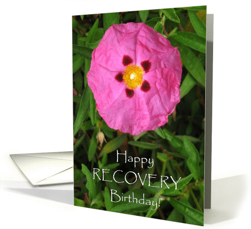 Recovery Happy Birthday Alcohol Addiction 12 Step Program card