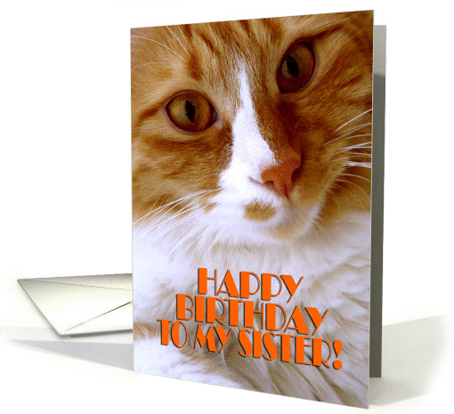 Happy Birthday Sister - Sweet Cat card (888231)