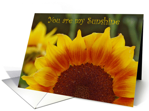 Birthday-Sunshine Sunflower card (842241)
