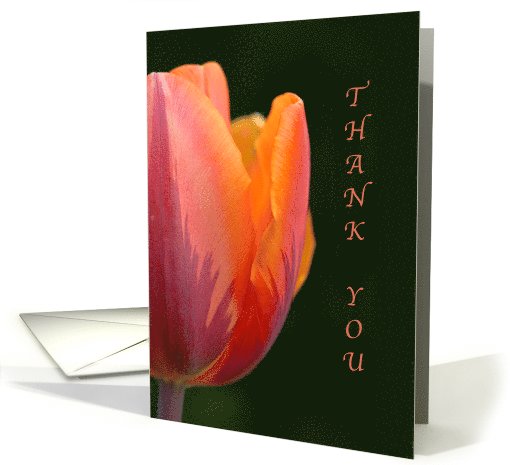 Thank you for the gift- Pink Tulip card (891669)