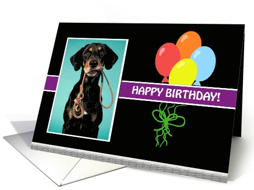 Happy Birthday Photo Card with Balloons card (924754)