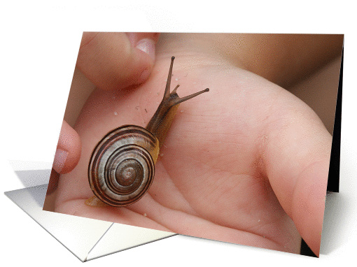Happy Birthday for a Boy That Loves Snails! card (835424)