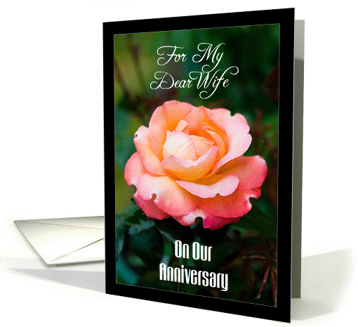 For My Dear Wife on Our Anniversary - Orange Rose card (854123)