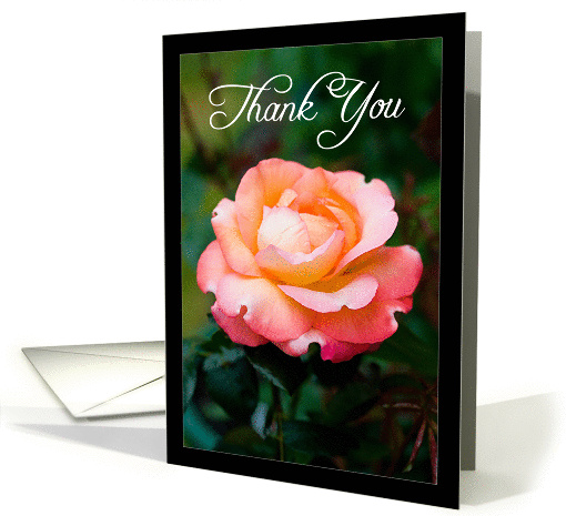 Thank you friend - orange rose card (854417)