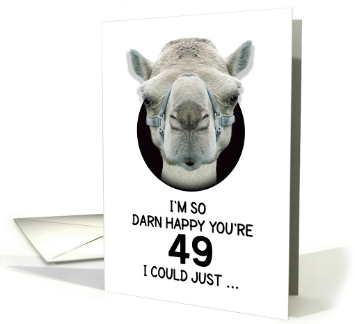 49th Birthday Happy Birthday Funny Camel Humorous Animal (1380890)