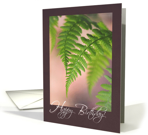 Beautiful Ferns Touching - General Birthday card (1533828)