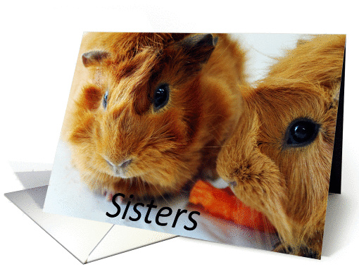 Thank You, Guines pig sisters card (860723)
