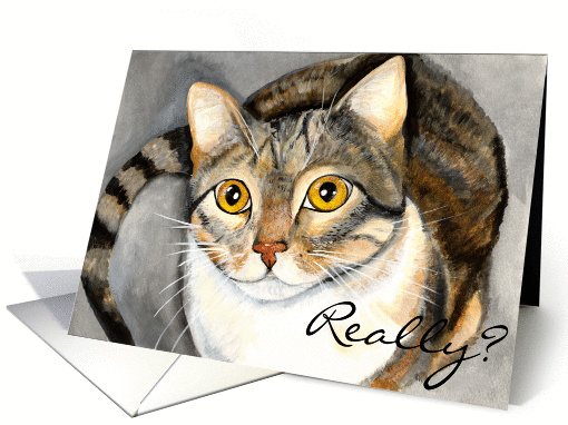 Wide eyed cat birthday card (906150)