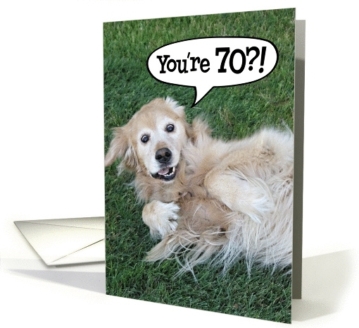 Funny Golden Retriever 70th Birthday card (932872)