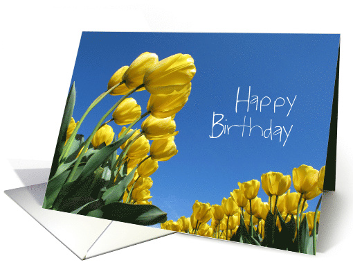 Happy Birthday - Yellow Tulips - Flowers card (1352486)