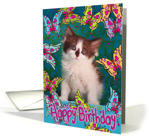 Birthday greetings with kitten and butterflies card (886550)