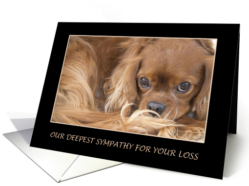 Deepest Sympathy for The Loss Of Your Pet card (967089)