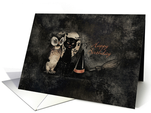 Happy Birthday Owl and Cat card (950396)