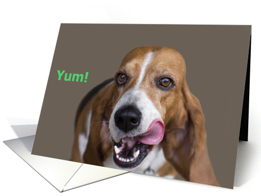 Basset Hound Focus for a Cause, Birthday, Yum! card (934387)