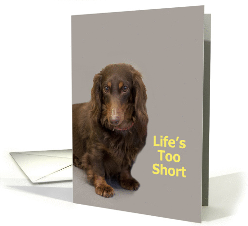 Dachshund Birthday Card, Life's too short! By Focus for a Cause card