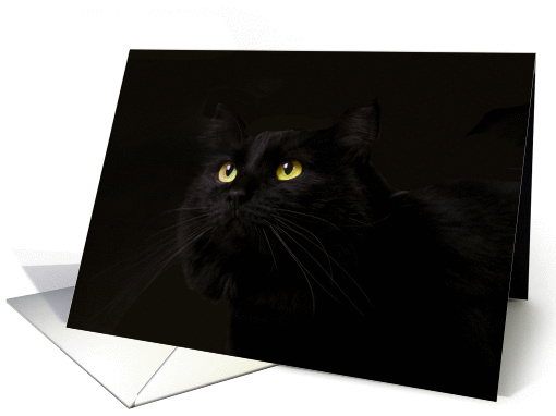 Black Cat Birthday Card, Eyes adore you, love, romance,... (984983)