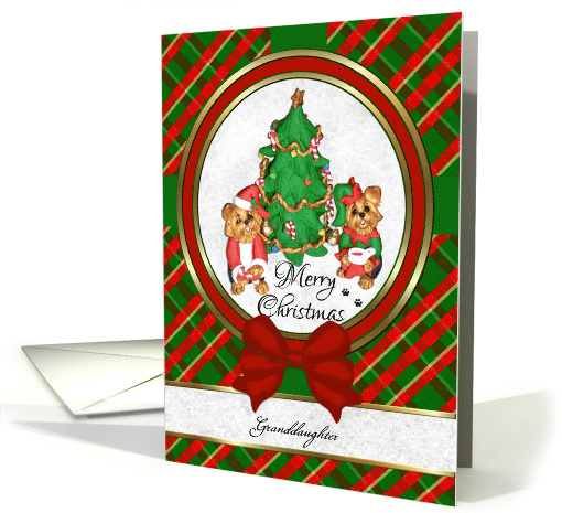 For Granddaughter- Cute Santa Yorkie Art Merry Christmas card