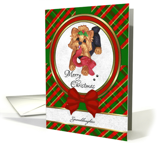 For Granddaughter - Cute Yorkie Art Merry Christmas card (1339852)