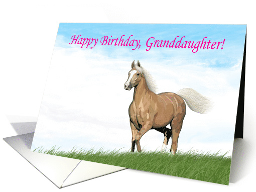 Cloud Palomino Birthday Card for Granddaughter card (1513286)