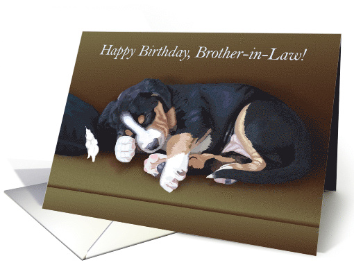 Naughty Puppy Sleeping--Birthday for Brother-in-Law card (1515058)