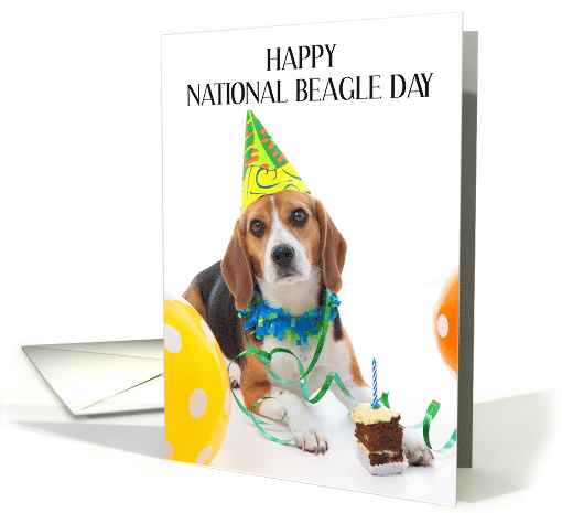 National beagle day cheap