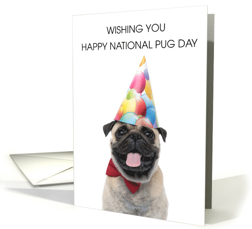 Happy national pug day outlet