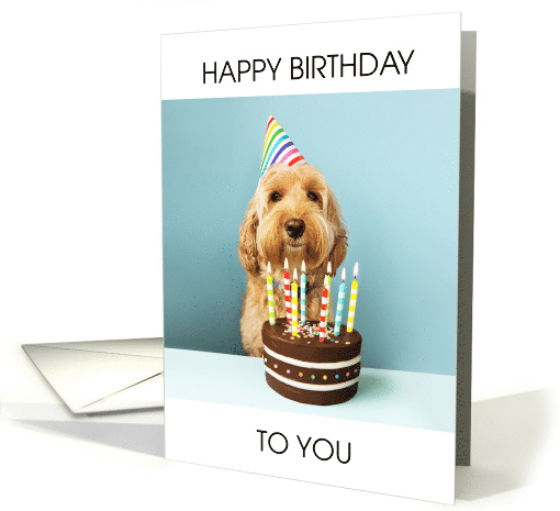 Cockapoo birthday cake top