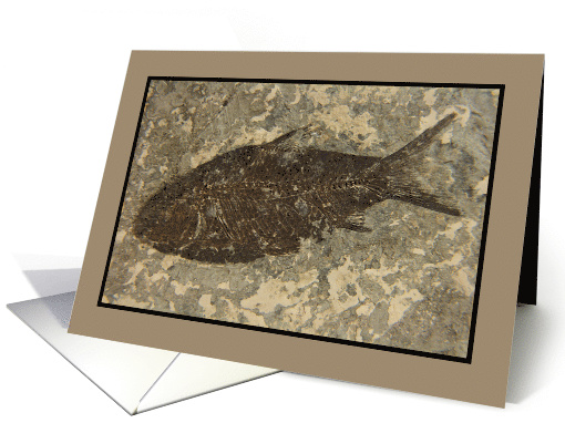 Humorous Fossilized Fish Birthday card (1034755)