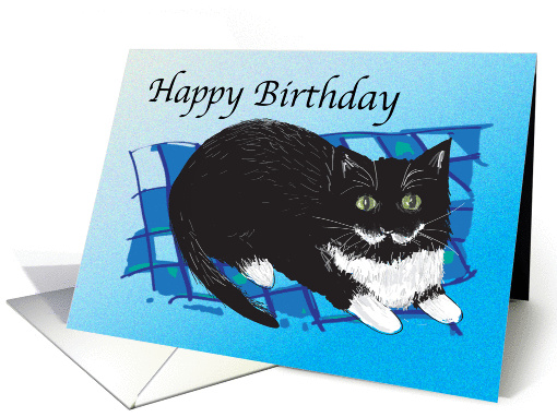 Birthday - Pet Parents - Cats card (1056491)
