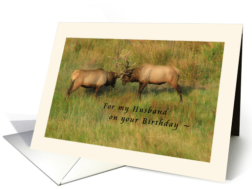 For my Husband on your Birthday - Bull Elk card (1284874)